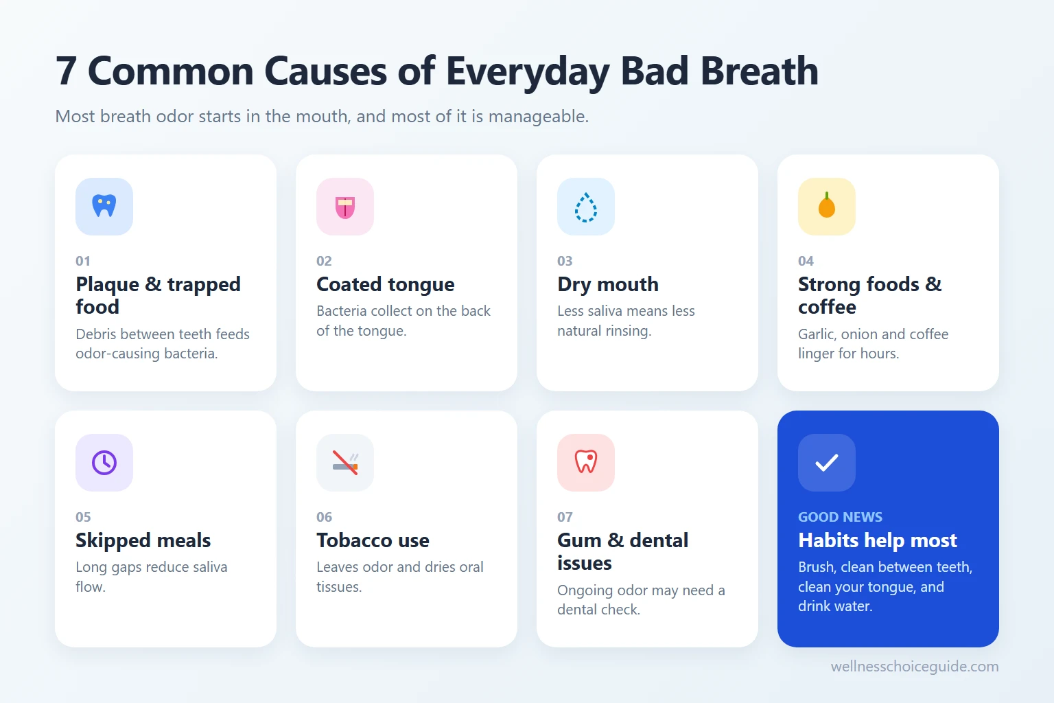 Infographic showing 7 common causes of everyday bad breath, including plaque, coated tongue, and dry mouth