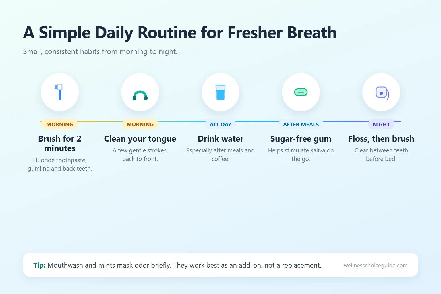 Daily routine infographic for fresher breath from morning brushing to flossing at night