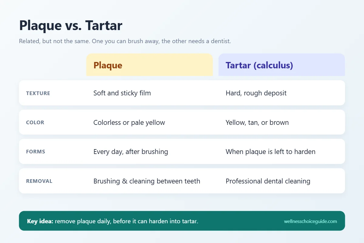 Comparison table of plaque and tartar by texture, color, how they form, and how they are removed